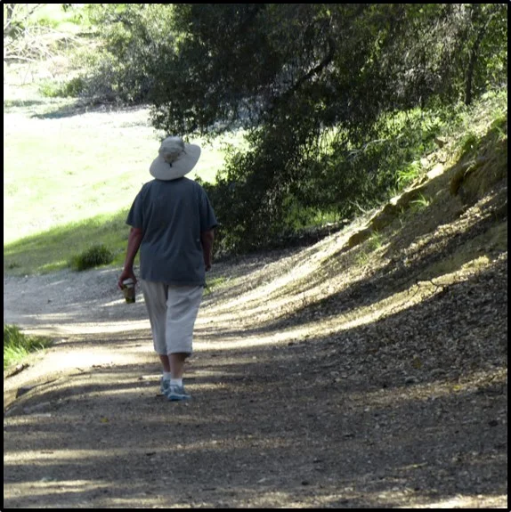 HOW OUR BODY STAYS COOL IN THE HEAT AND WHAT CHANGES AS WE AGE
